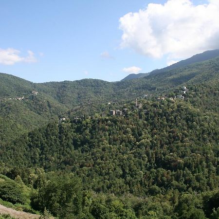 Le Refuge Orezza Piedicroce  Pokoj fotografie