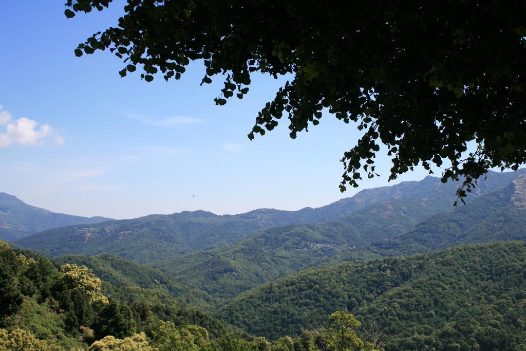 Le Refuge Orezza Piedicroce  Exteriér fotografie