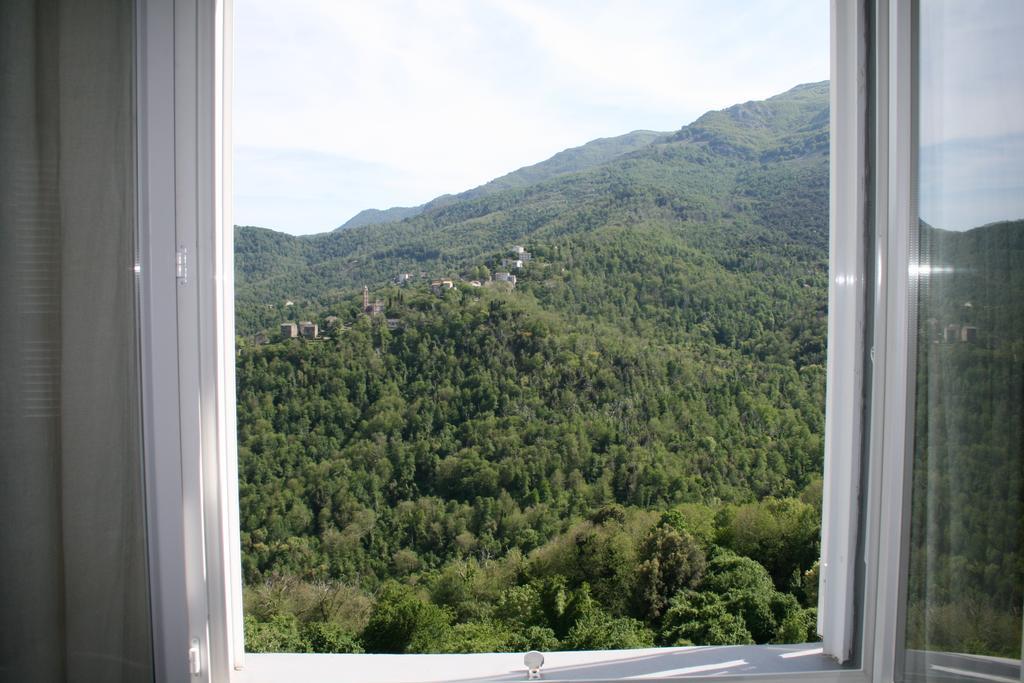 Le Refuge Orezza Piedicroce  Pokoj fotografie